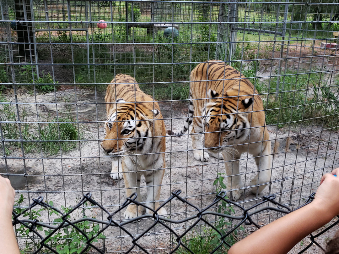 Wildlife Survival Sanctuary景点图片