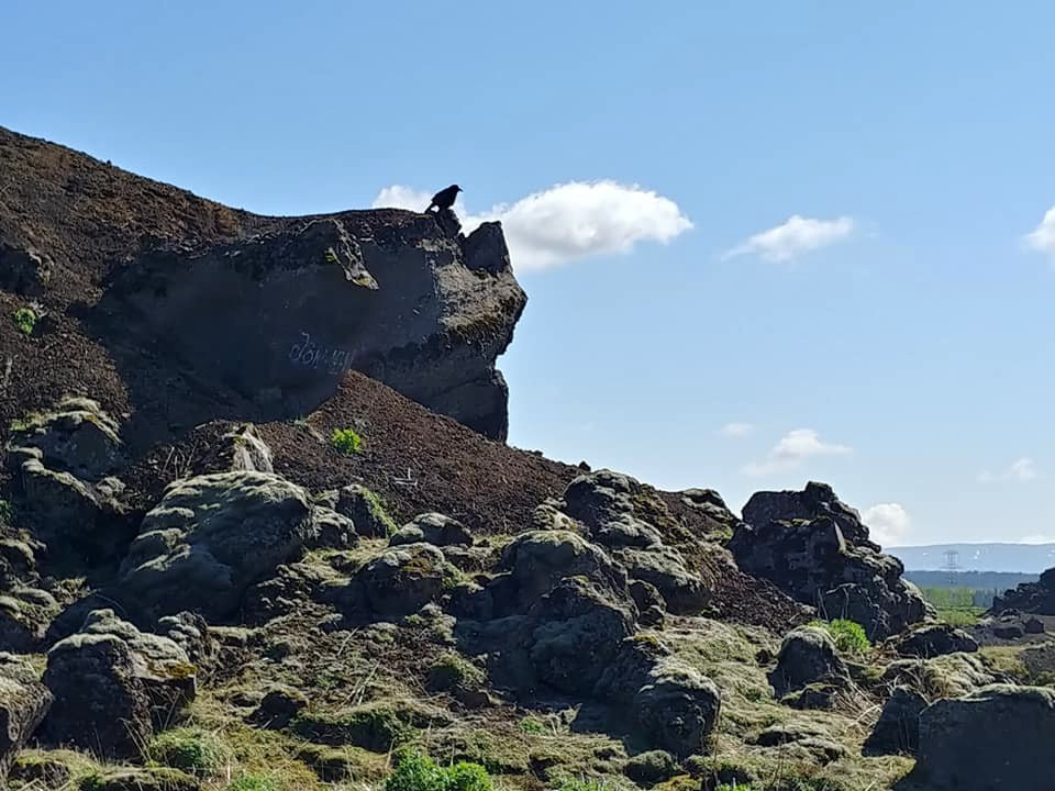 Heidmörk Nature Reserve-雷克雅未克必去景点