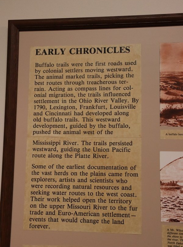 National Buffalo Museum景点图片
