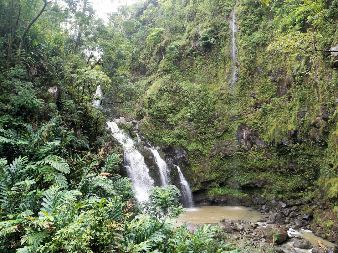 Upper Waikani Falls景点图片