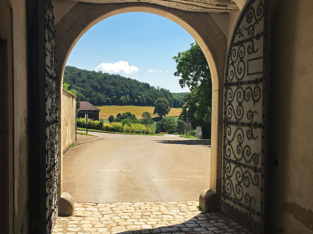 Neresheim Abbey-Neresheim必去景点