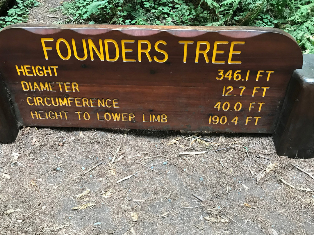 Founders Grove景点图片