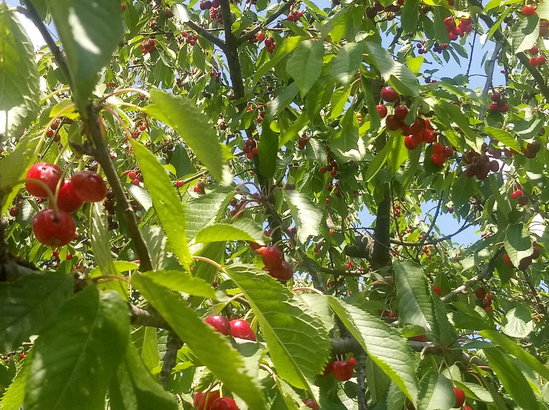 B&B I Melograni主图