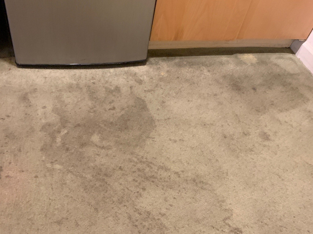 Orca Inn Suites主图