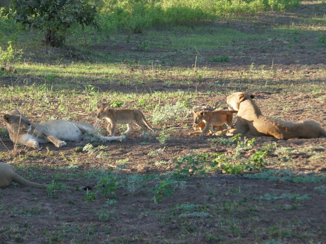 Msandile River Lodge-里朗威必去景点