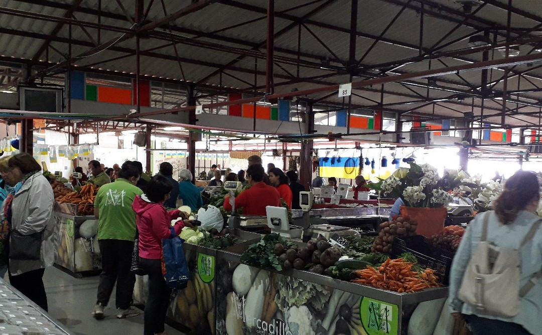 El Sauzal旅游景点-Mercado Municipal De Tacoronte