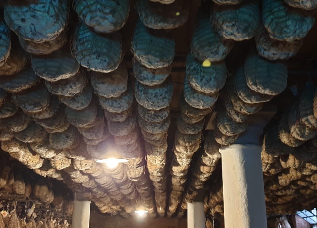 Azienda Agricola Bre del Gallo景点图片
