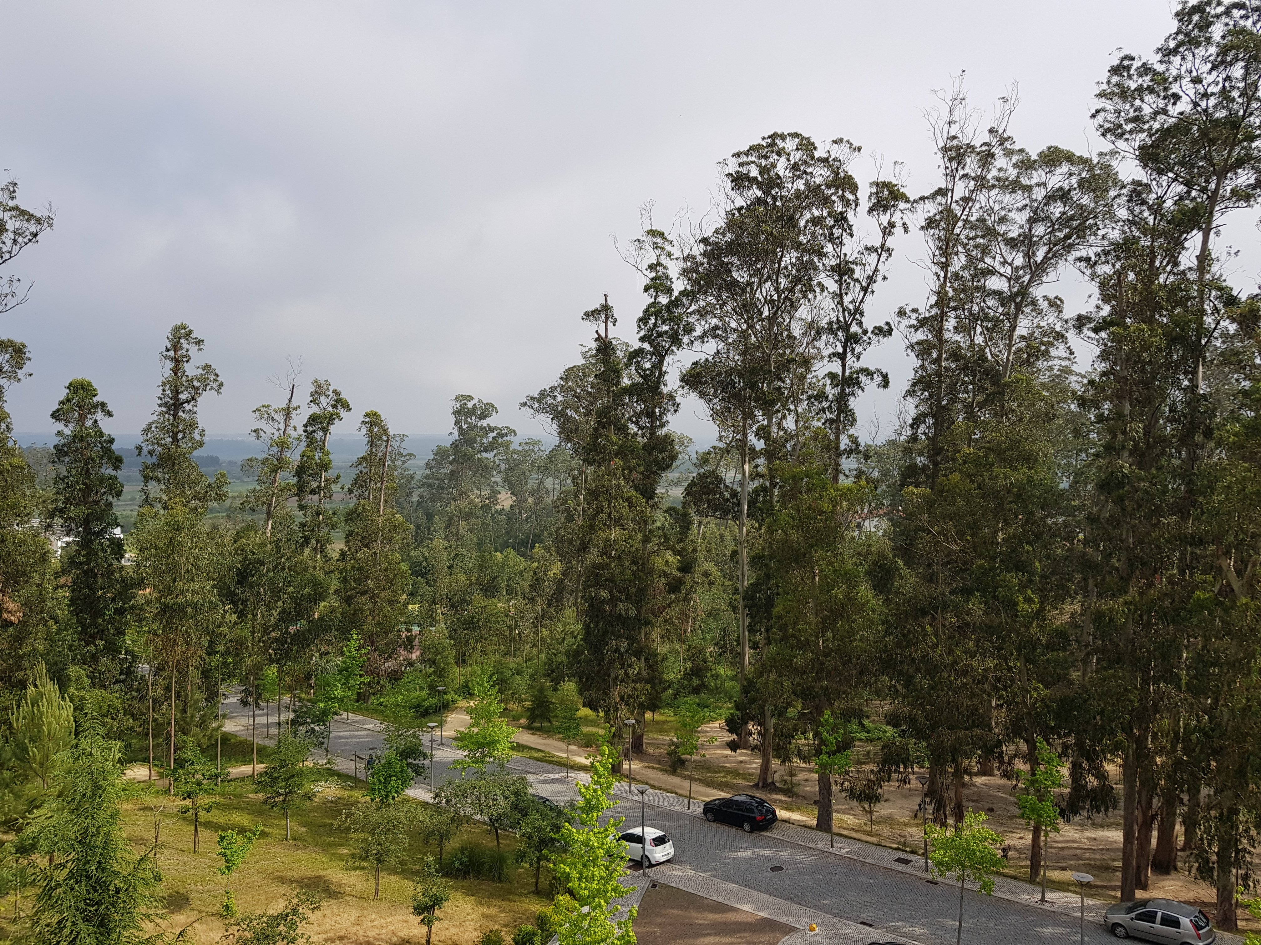 Monte Real Hotel,Termas & Spa-浴室