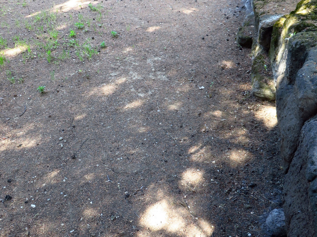 Area Archeologica di Fratte景点图片