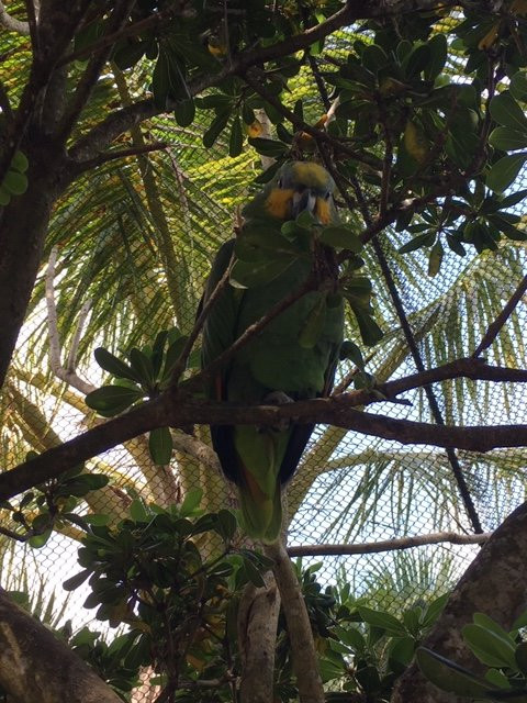 Bermuda Aquarium, Museum & Zoo-Hamilton Parish必去景点