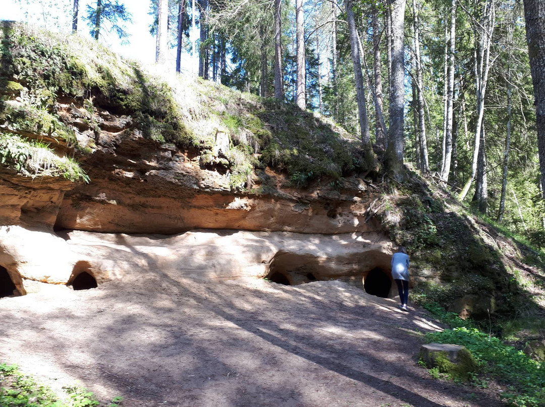 Peldanga labyrinth (Liepniekvalka Caves)景点图片