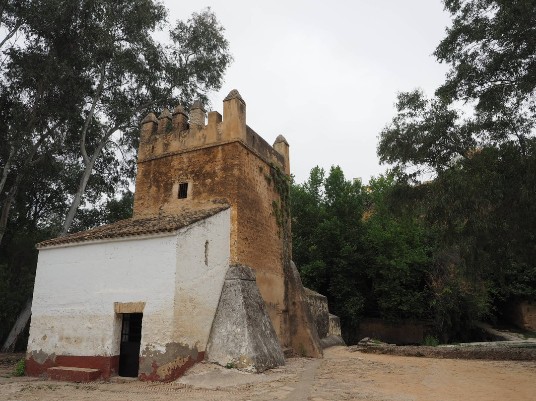 Molino del Algarrobo-Alcala de Guadaira必去景点