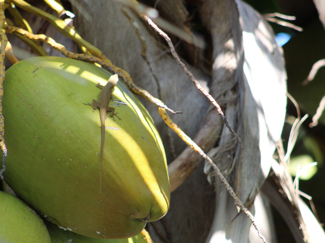 Hostal Calle12主图