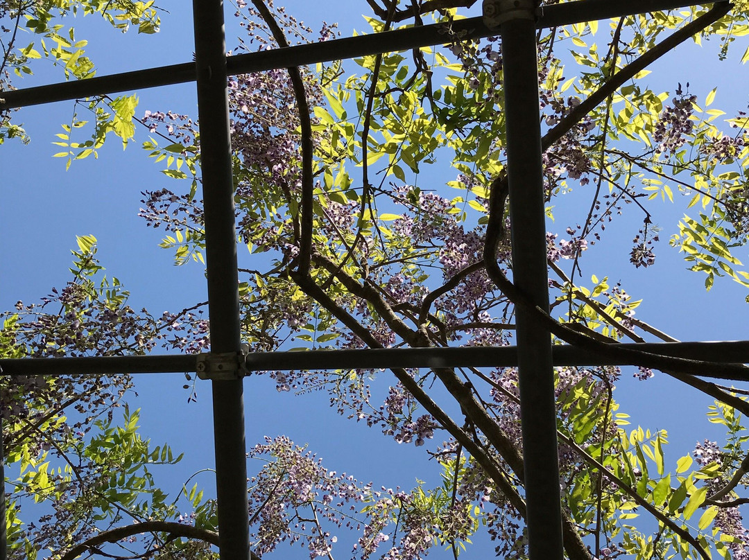 Miyama no Sato Shinrin Park-日高川町必去景点