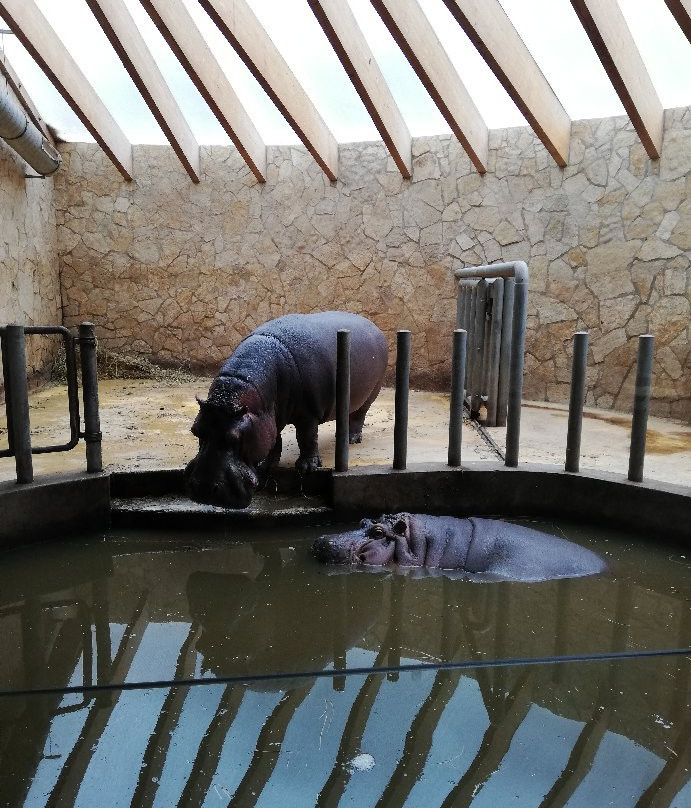 Zoo Debrecen景点图片