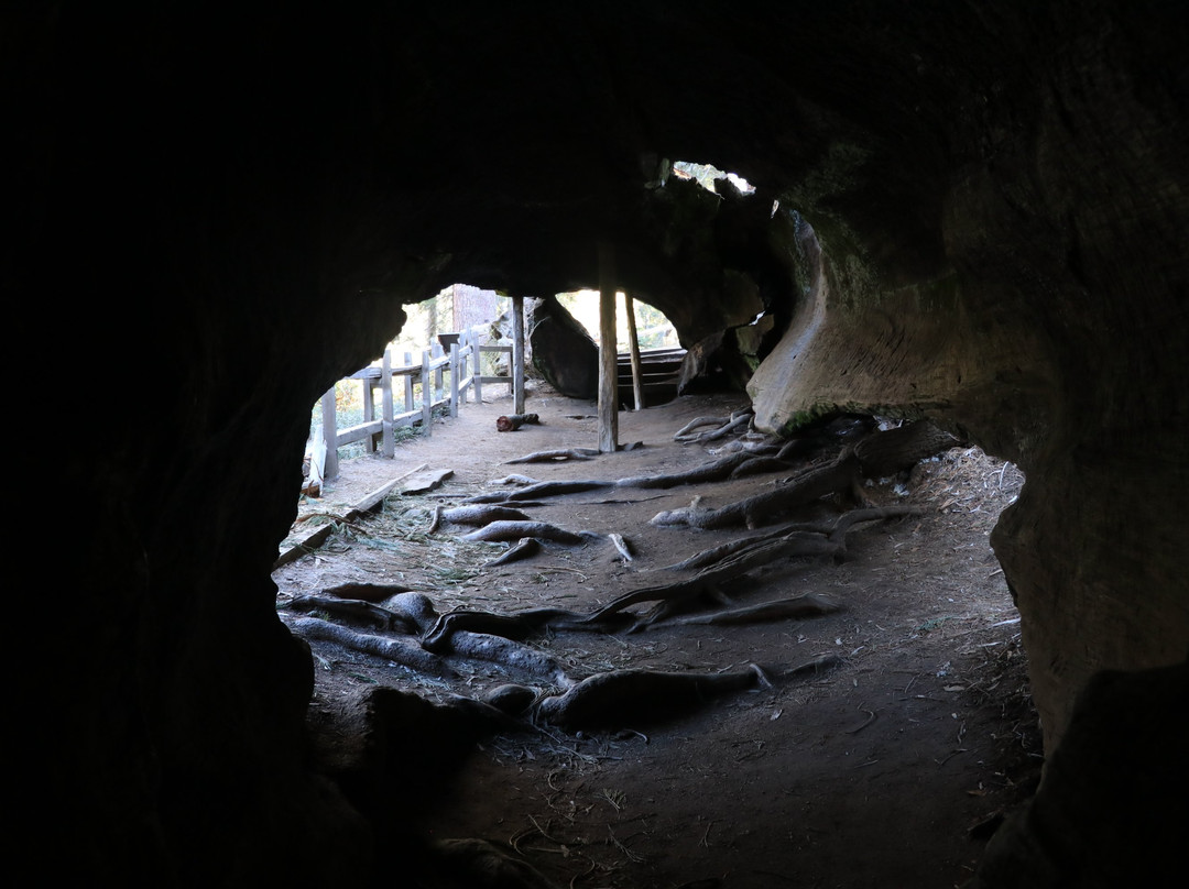 The Fallen Monarch-红杉&国王峡谷国家公园必去景点