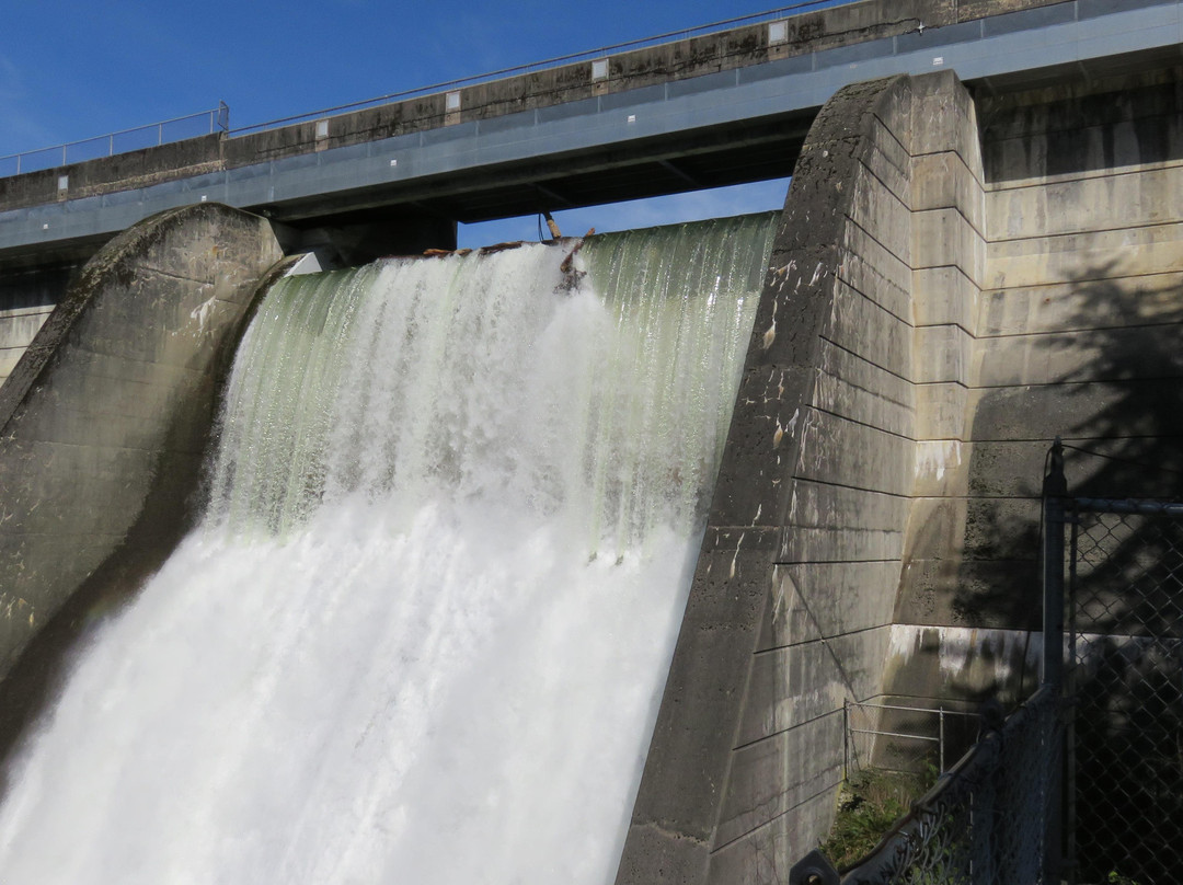 TDS Limo Service-兰里市必去景点