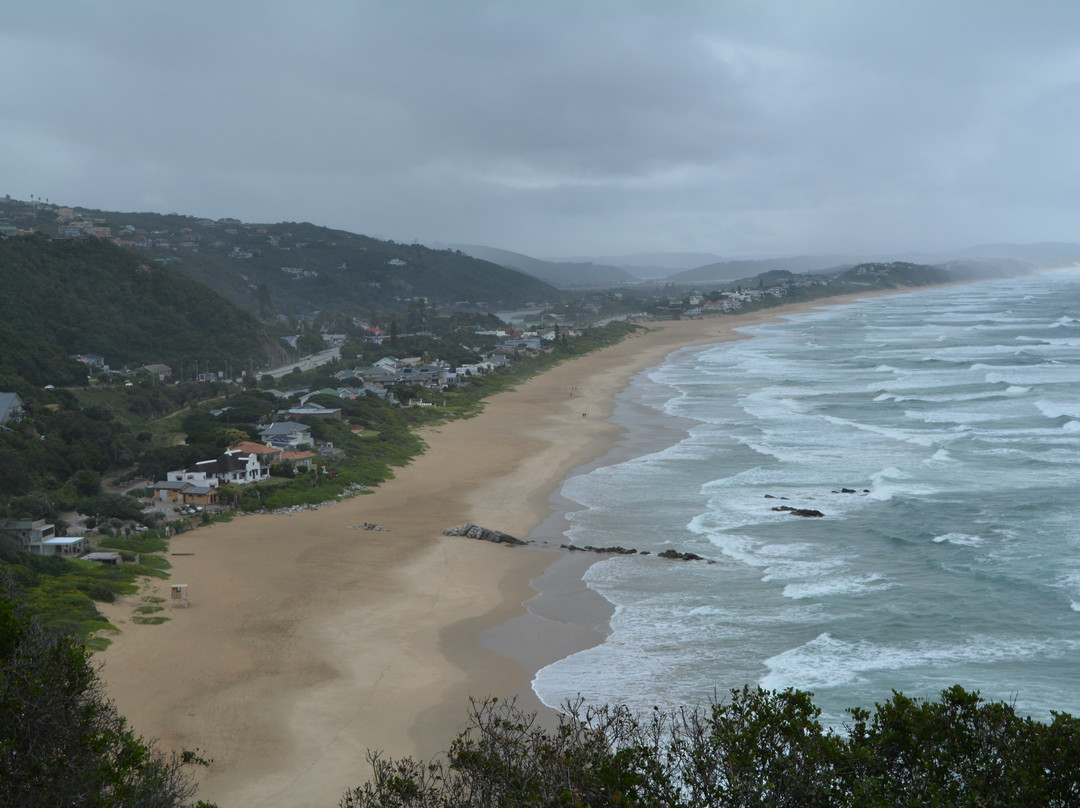 Dolphin Point Lookout-荒野必去景点