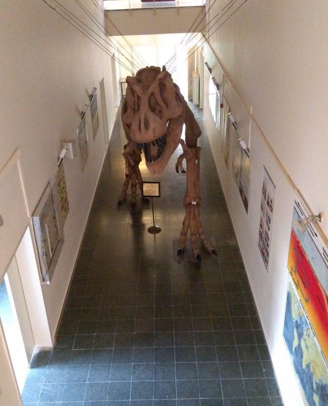 Natural History Museum景点图片