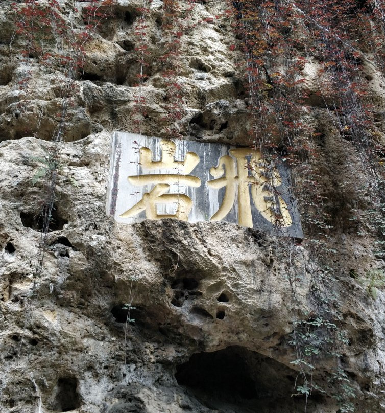 中元禅院景点图片