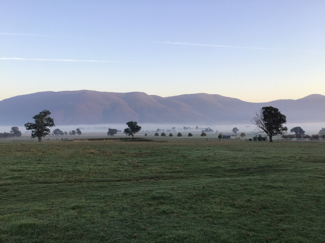 Mountain View Motel主图