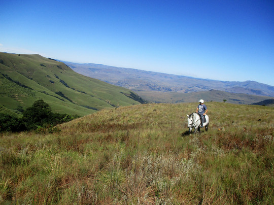 Stormy Hill Trails & Tails-Boston必去景点