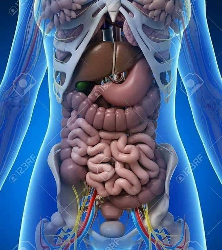 Yashraj Clinic-加兰古特必去景点