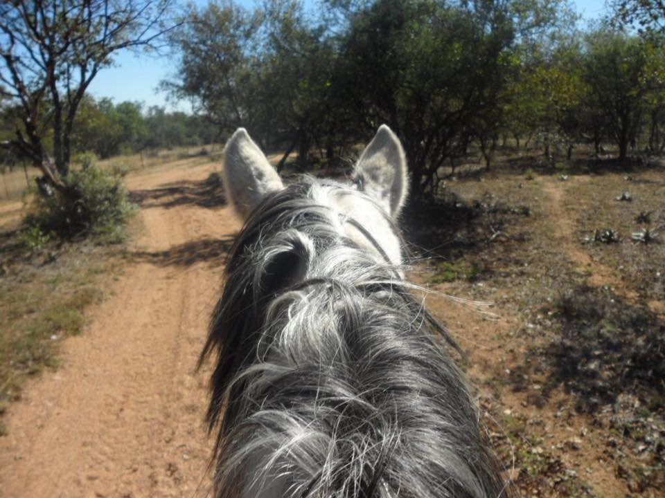 Unathi Horseback Trails-Brits必去景点