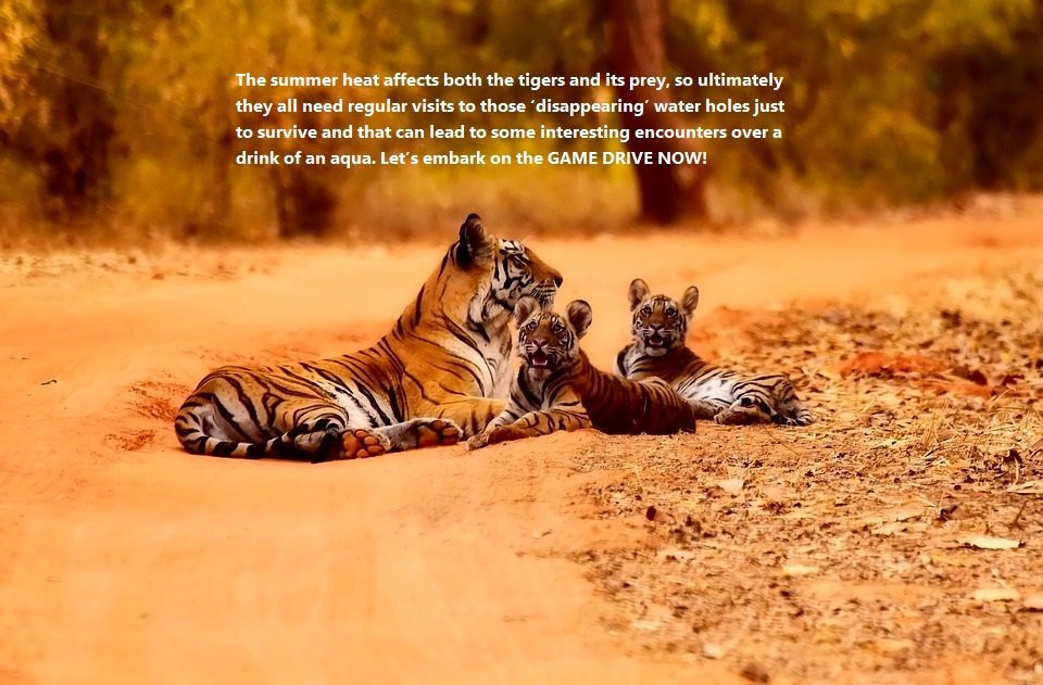 Abby & Scout Tours-斋蒲尔必去景点