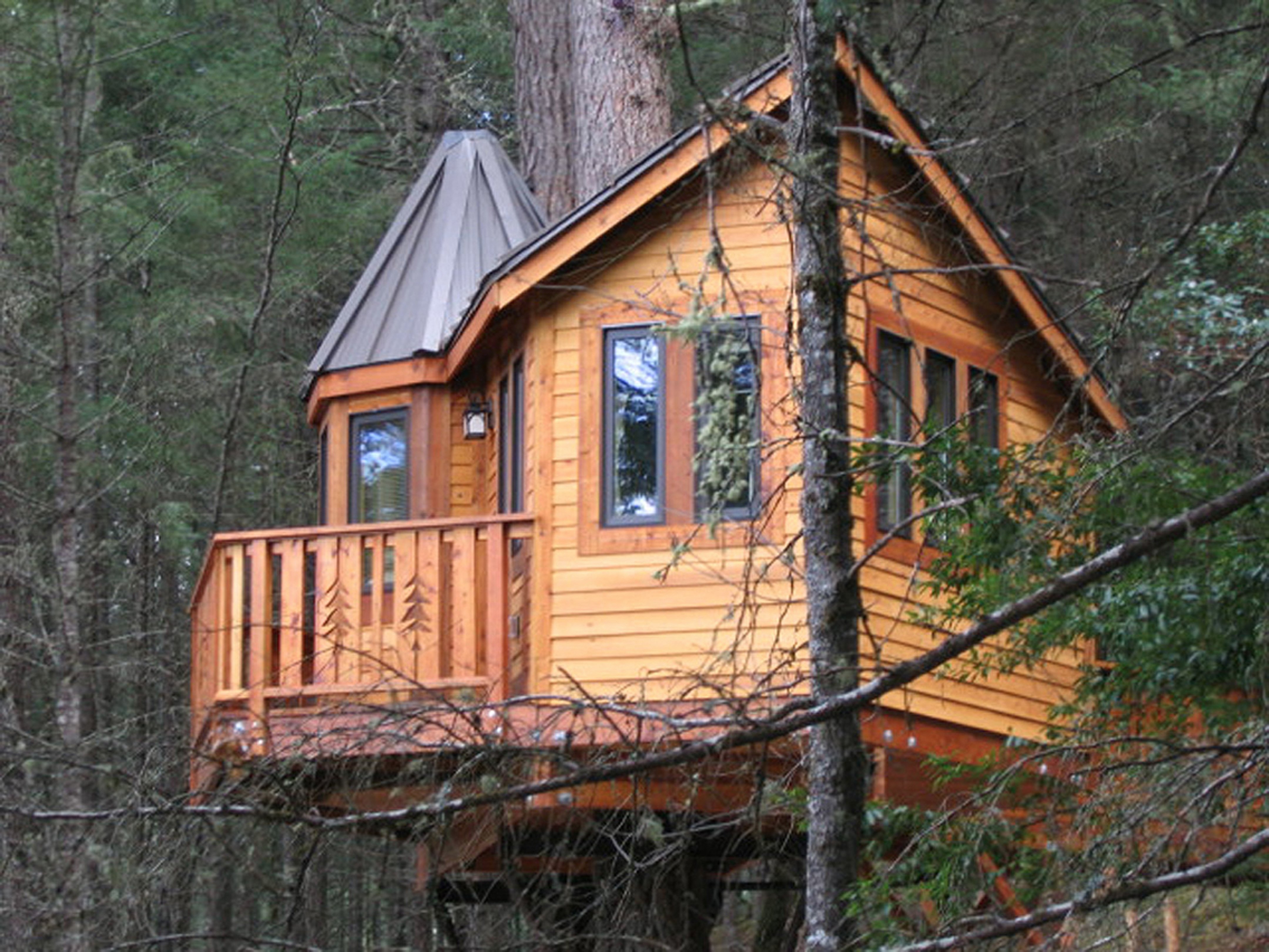 Vertical Horizons Treehouse Paradise-官方