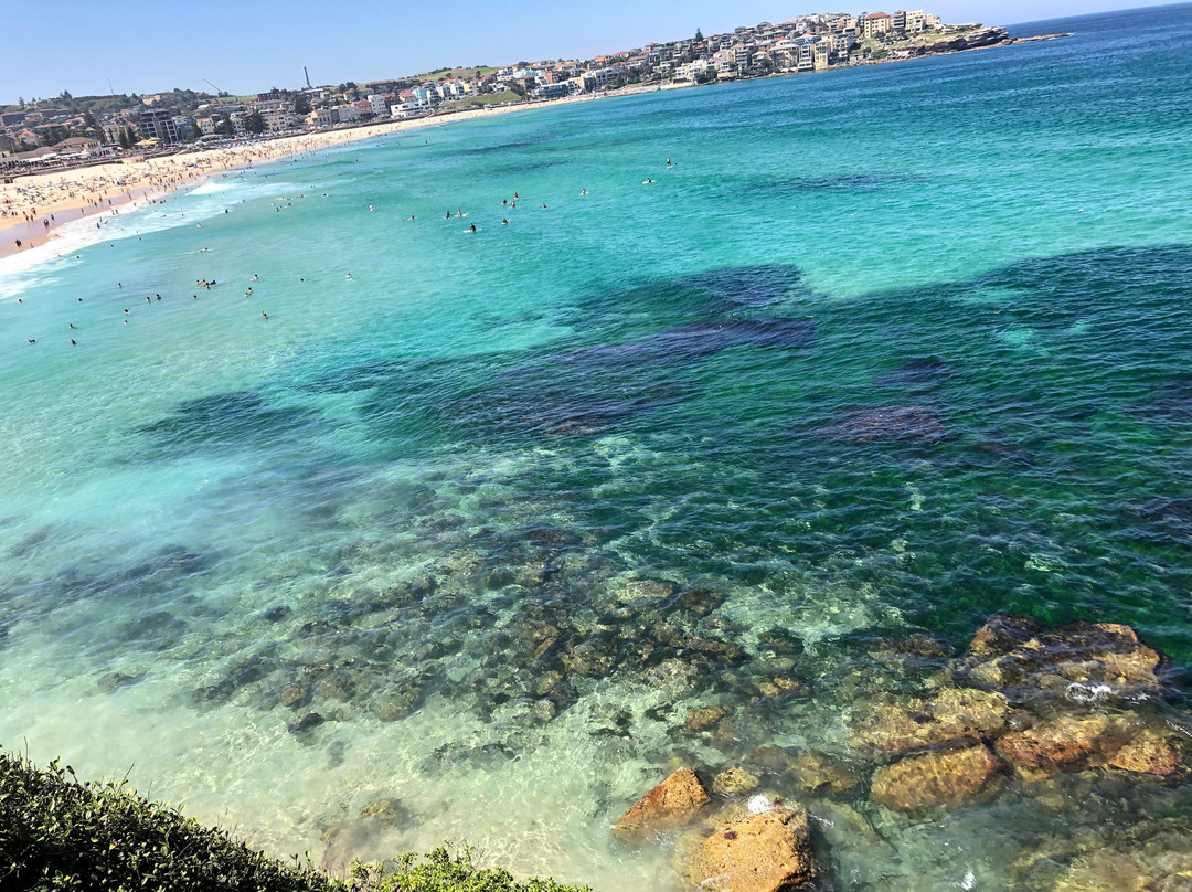 Drive U Now-纽卡斯尔必去景点