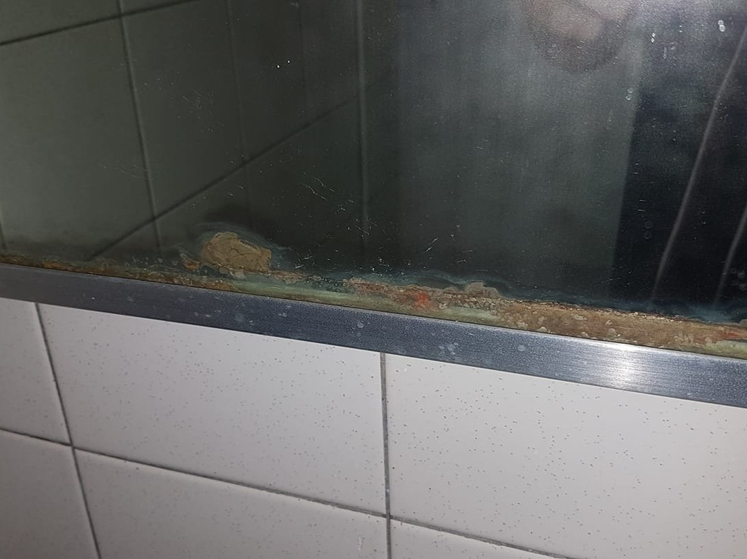 玛丽伯勒会议中心汽车酒店主图