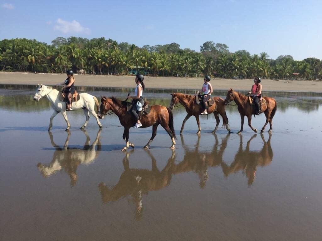 CR Beach Barn景点图片