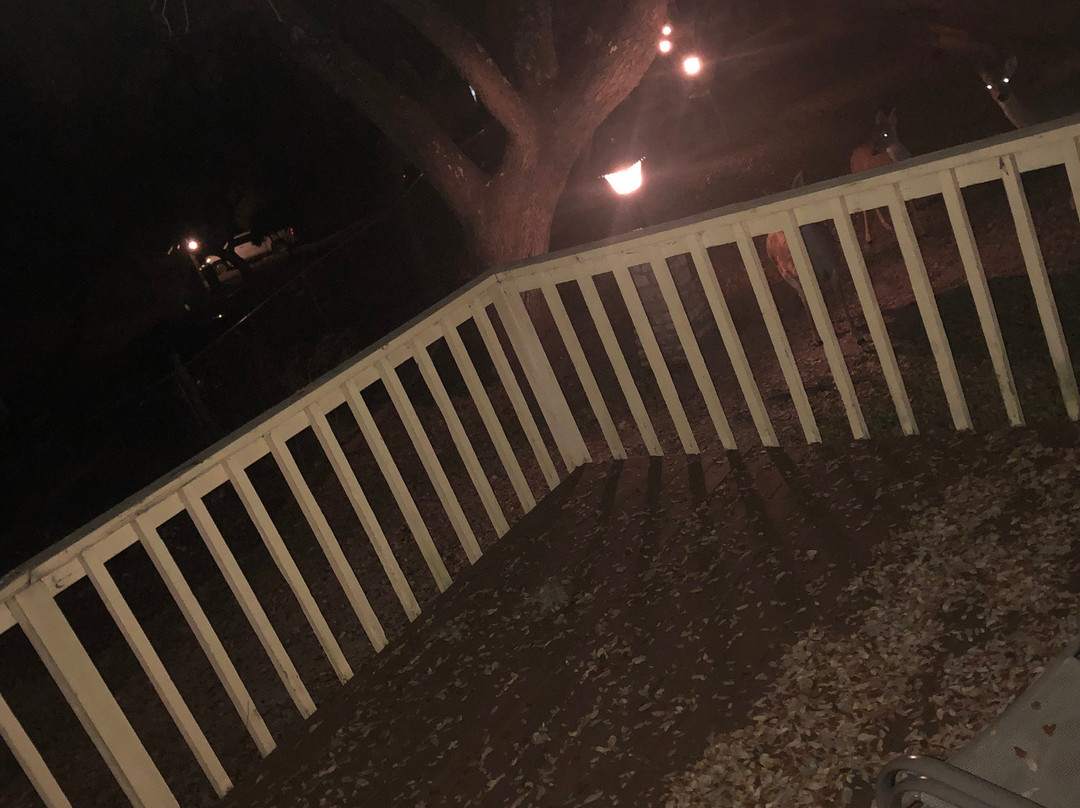 The Shores at Lake Travis主图