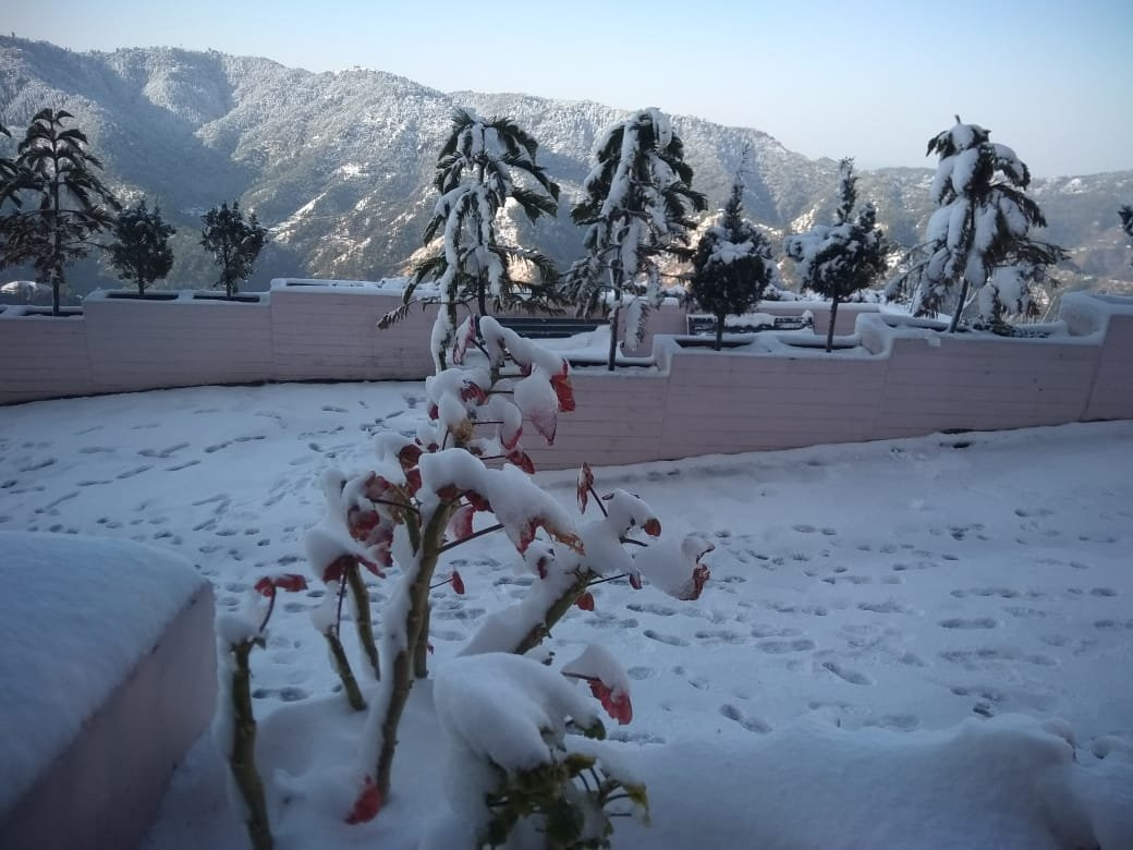 Spangle Heights Suites & Residences主图