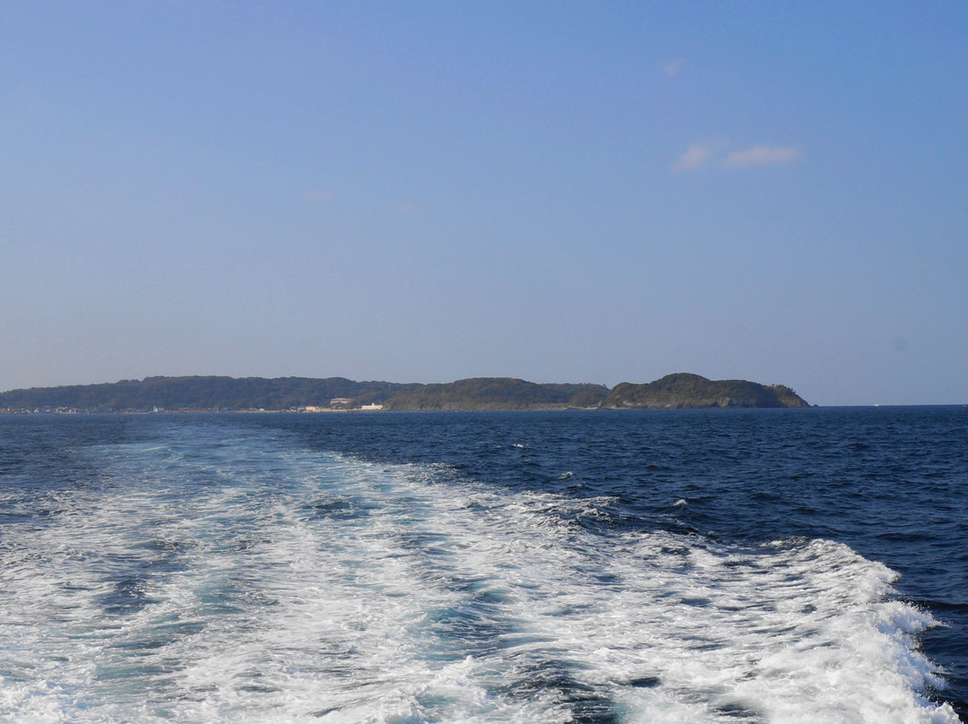 Shingu Municipal Ferry景点图片