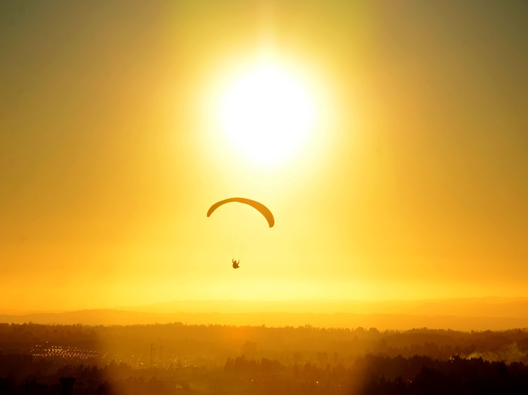 Parapente Vuelo Araucanía景点图片