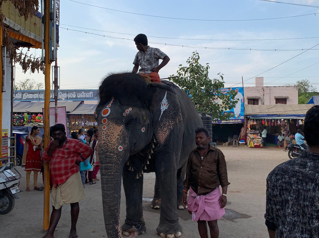 Sri Kottai Mariamman Kovil景点图片