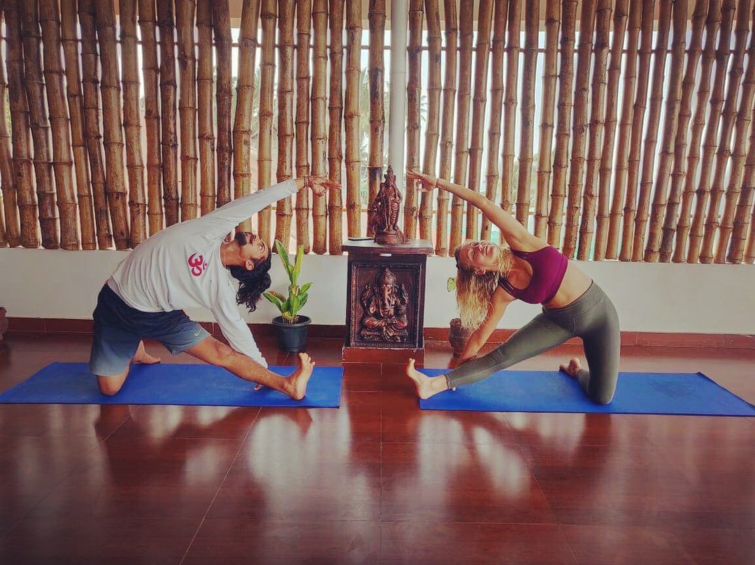 Satwik School of Yoga & Meditation-瓦卡拉必去景点