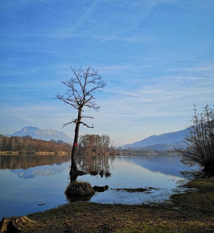 Promenade Confort : Sentier du Lac et Randocroquis des Rives du Coisétan景点图片
