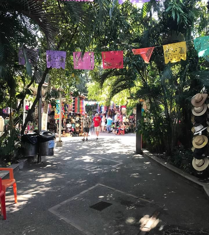 Isla Cuale-瓦拉塔港必去景点