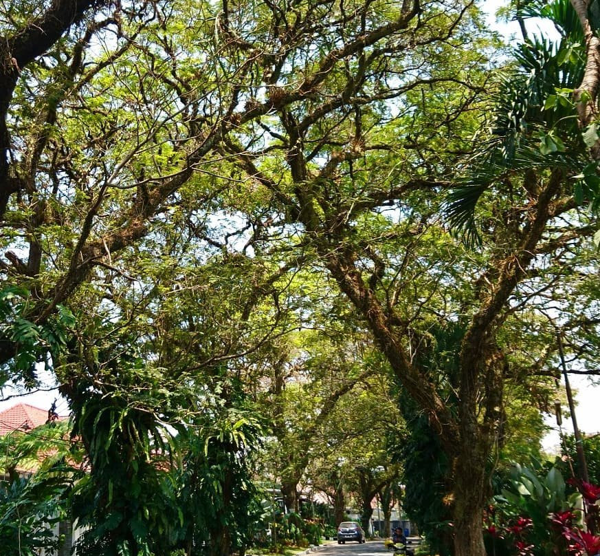 Malang City Hall Monument景点图片