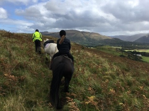 Mull Pony Trekking景点图片