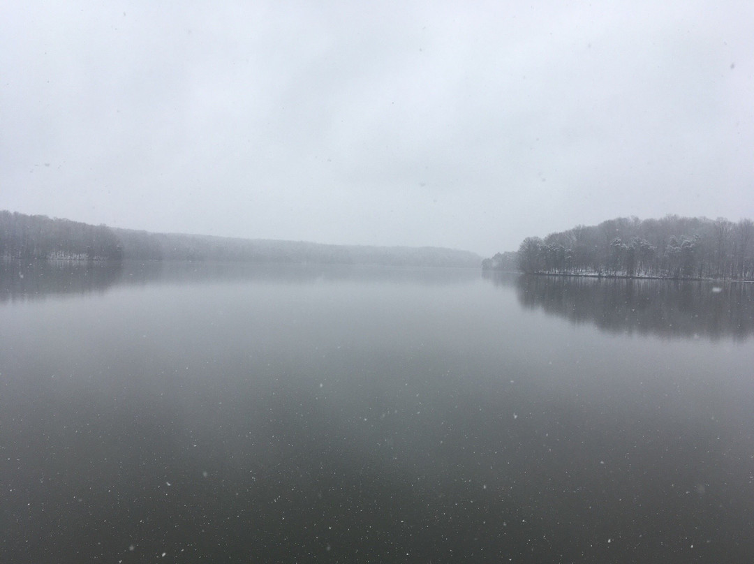 Lake Brandt Marina景点图片