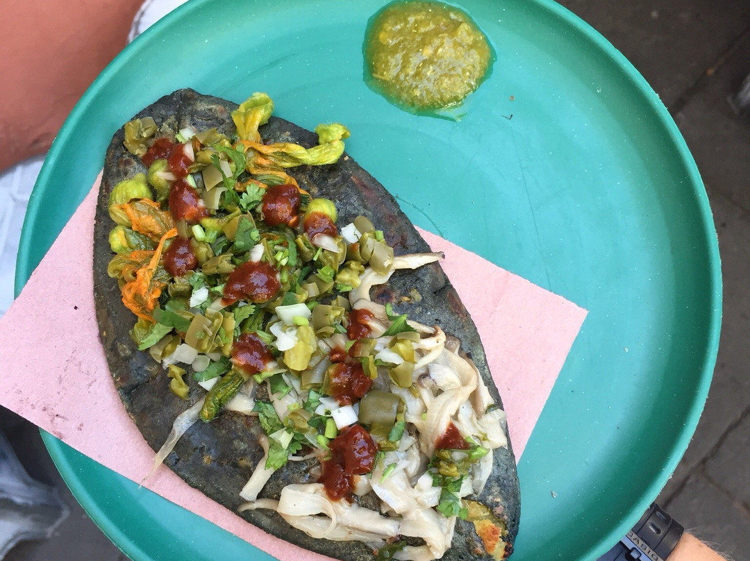 Travelling Herbivore-墨西哥城必去景点