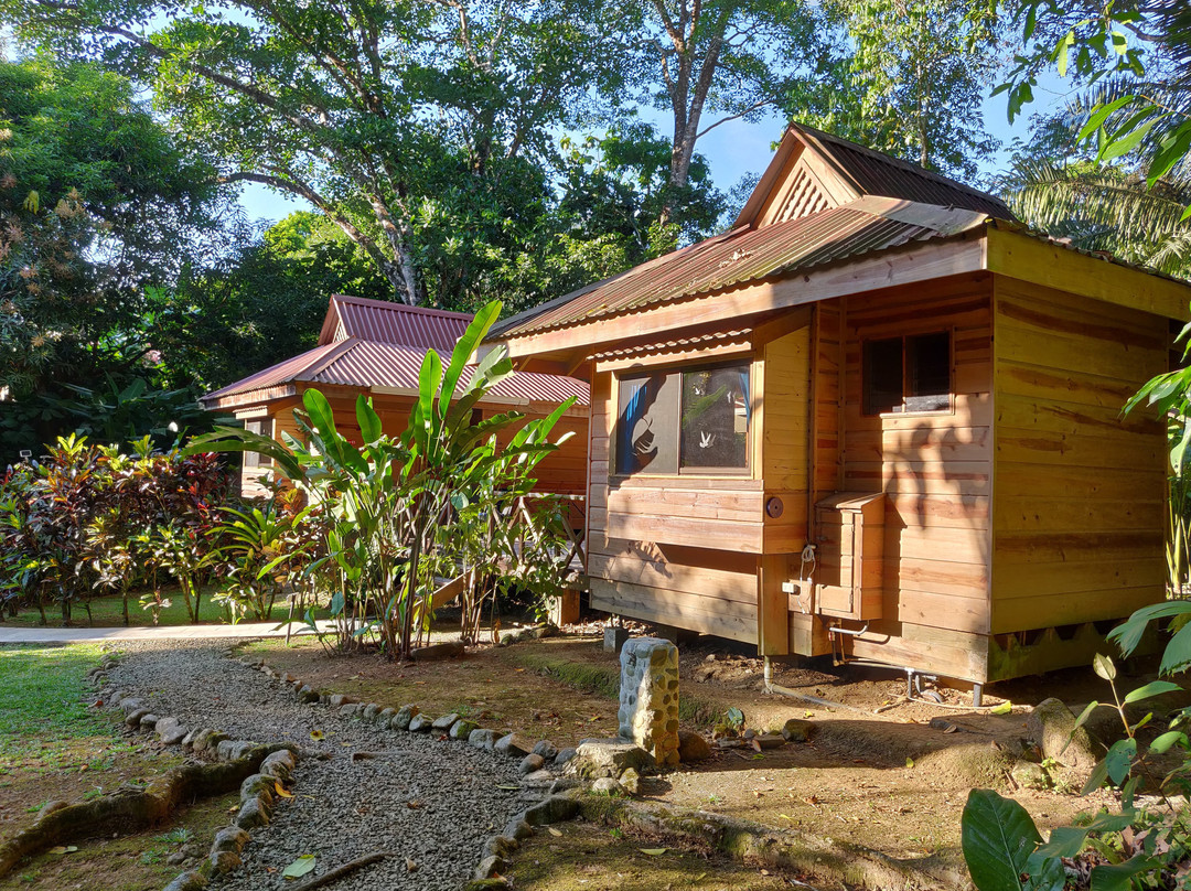 Hotel El Mono Feliz主图