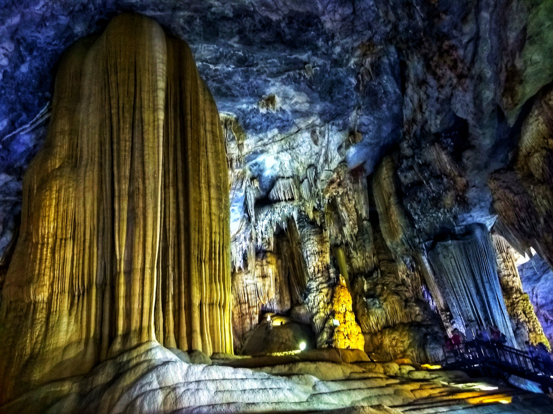 Phong Nha Travel-洞海必去景点