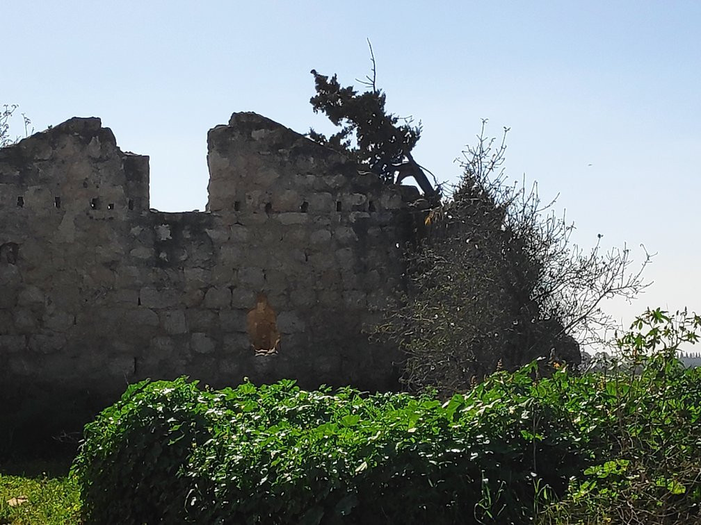 Farm on the Hill-Gedera必去景点