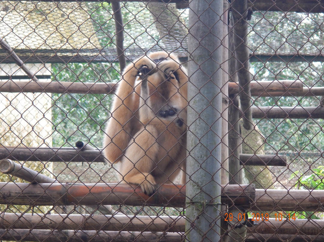 Endangered Primate Rescue Centre景点图片