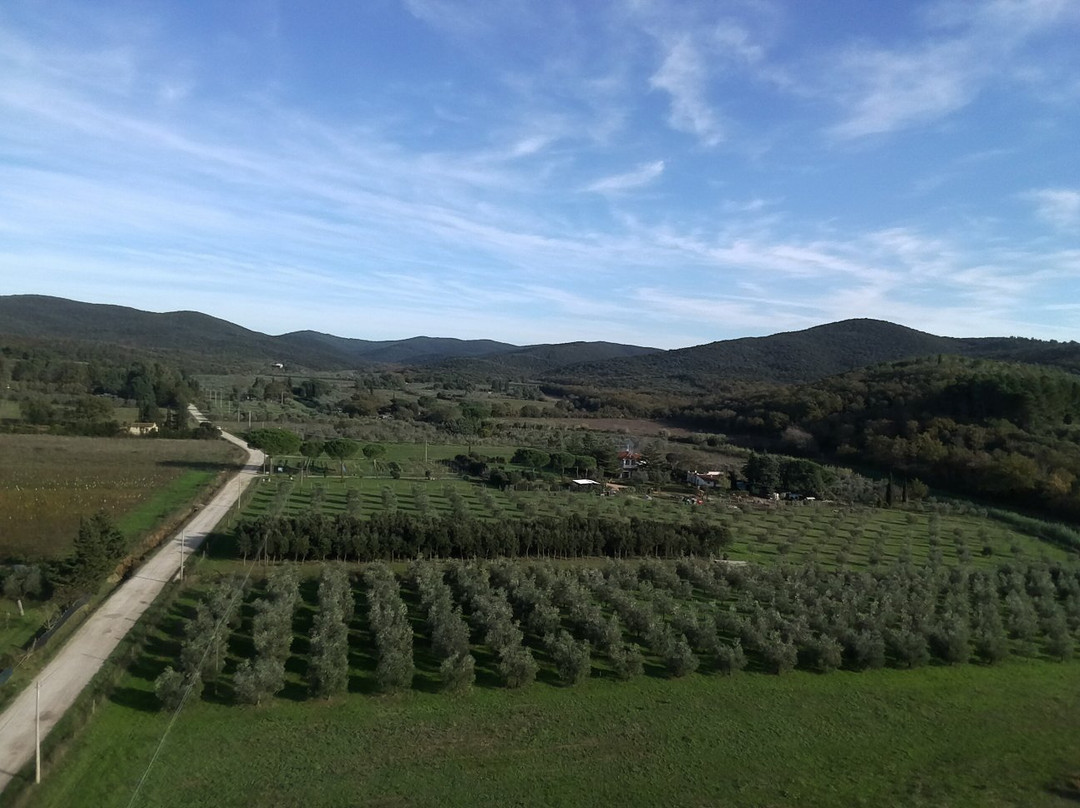 Azienda Agricola Micol Carraro景点图片
